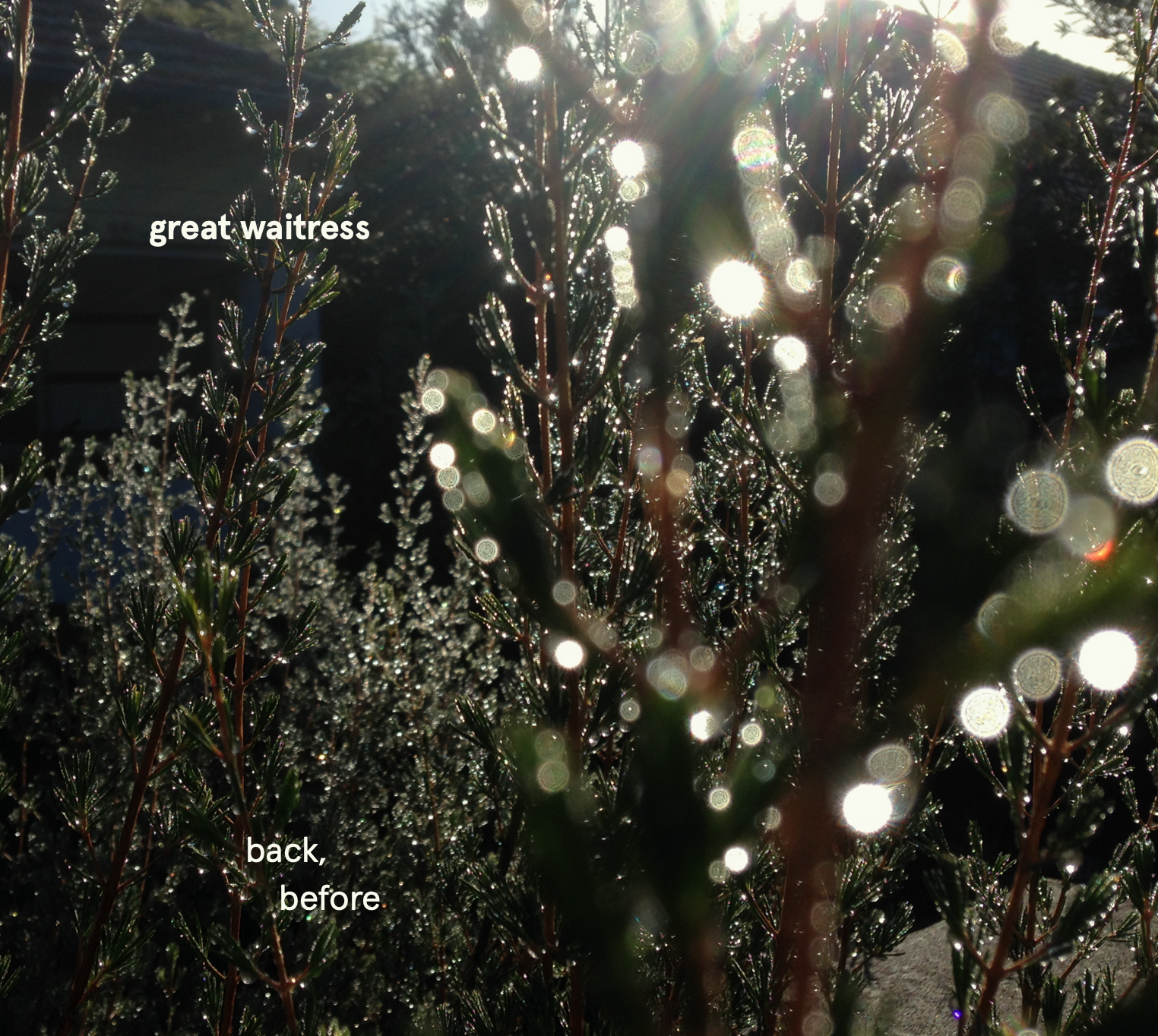 GreatWaitressBackBefore_Cover01